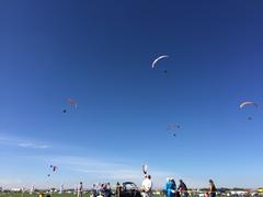 Blurred background of IMG_0697.JPG