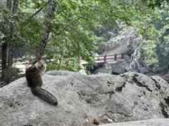 IMG_2937.HEIC