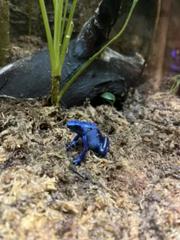 IMG_3109.HEIC
