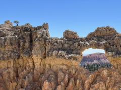 IMG_0882.HEIC