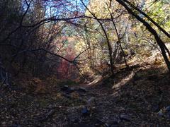 IMG_1148.JPG