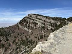 Sandia Crest Trail