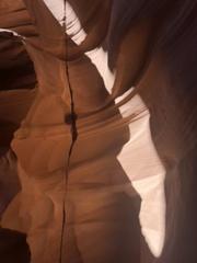 IMG_1450.HEIC