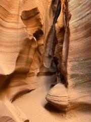 IMG_1510.HEIC