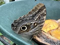 IMG_3829.HEIC