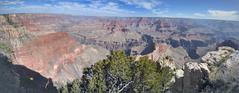 IMG_1998-PANO.jpg