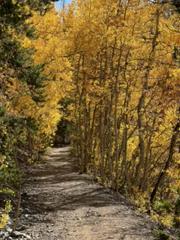 IMG_1902.HEIC
