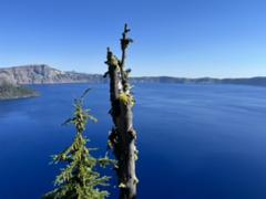 IMG_3473.HEIC