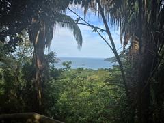 IMG_2300.JPG