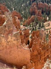 IMG_0878.HEIC