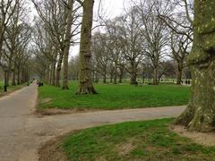 IMG_0424.JPG