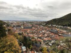 IMG_2190.HEIC