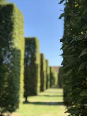 IMG_7791.HEIC